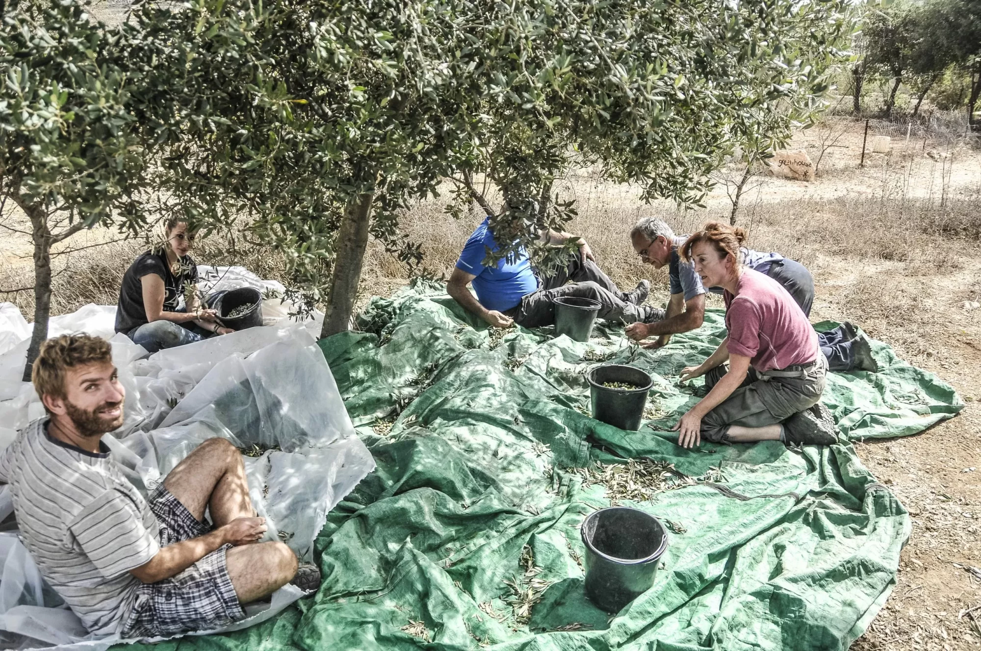 Tent of Nations: Semi di Resistenza e Speranza